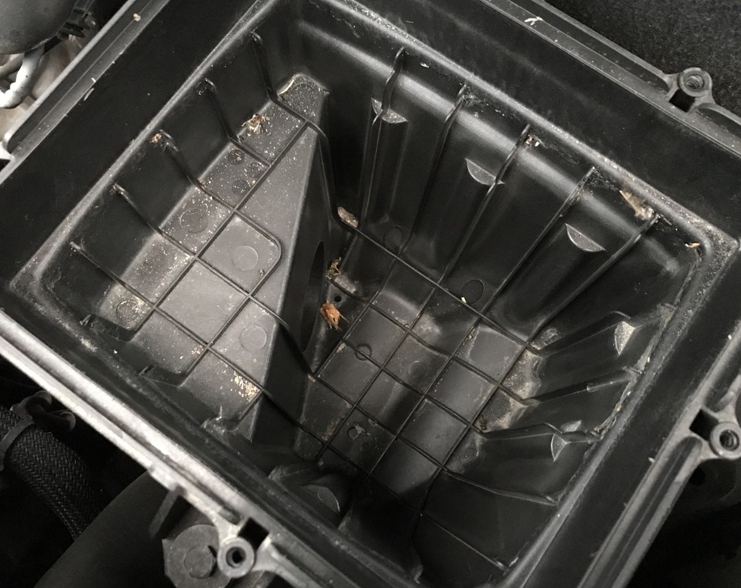 Замена воздушного фильтра Changan Uni-K